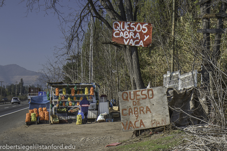 fruit stand